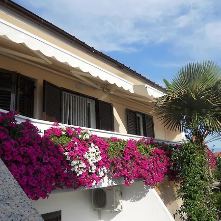 Mihalic Apartment